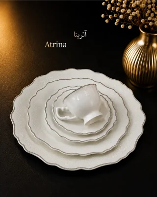 هرمیتاژ نیوبن 109پارچه 6نفره آترینا